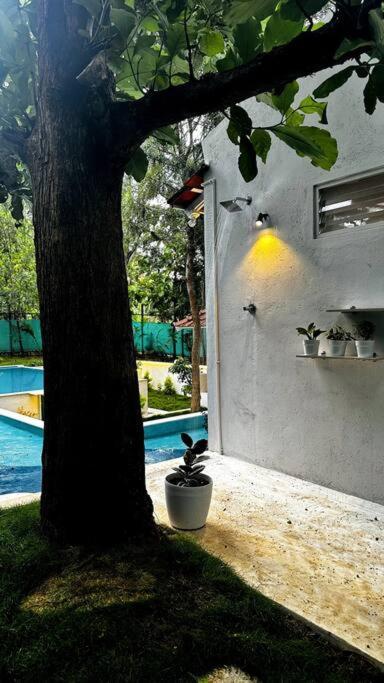 Hampāpura Serenity Farm Stay מראה חיצוני תמונה