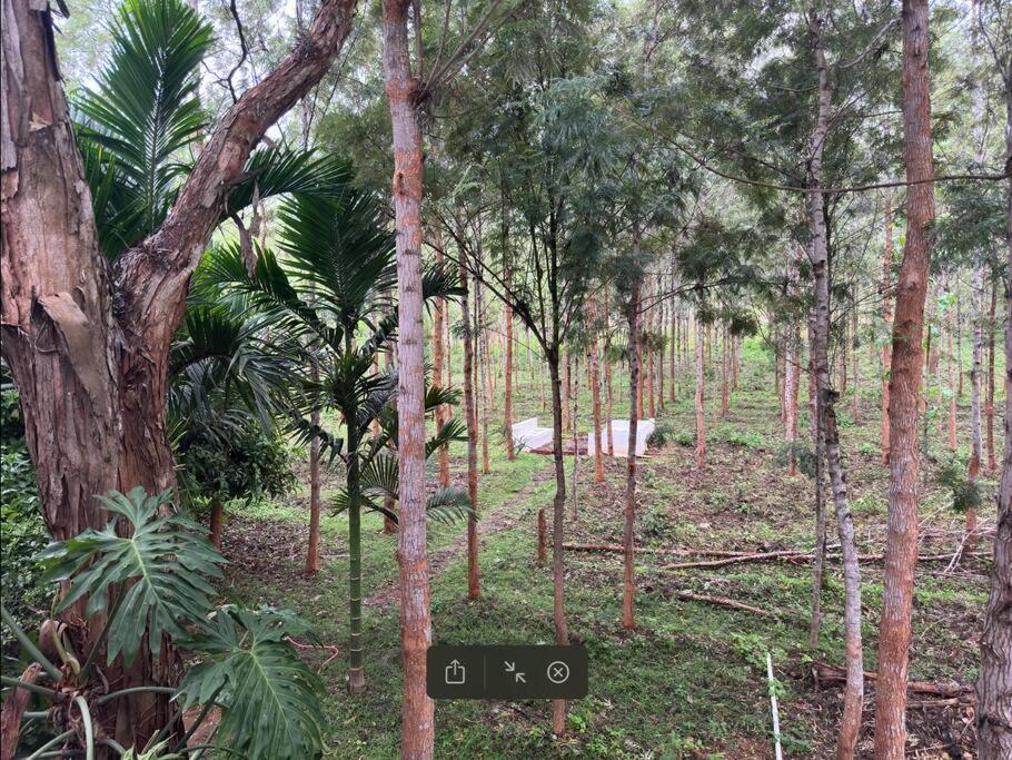 Hampāpura Serenity Farm Stay מראה חיצוני תמונה