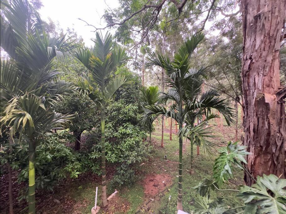 Hampāpura Serenity Farm Stay מראה חיצוני תמונה